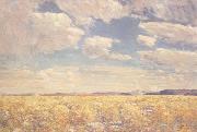 Childe Hassam Afternoon Sky,Harney Desert (mk43) oil painting reproduction